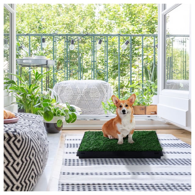 PawHut Potty Trainer: Dog Training Toilet with Artificial Grass Turf, Easy-Clean…